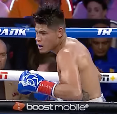 Emanuel Navarette Boxing Career DVDs