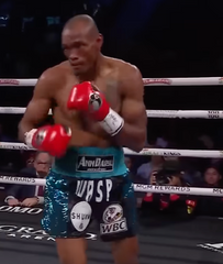 Alberto Puello Boxing Career DVDs