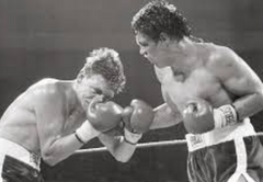 Luis Resto Boxing Career DVDs