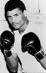 Pablo Baez Boxing Career DVDs