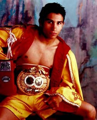 Danny Romero Boxing Career DVD Set