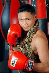 Donnie Nietes Boxing Career DVDs