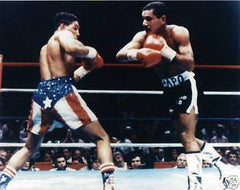 Edwin Rosario Boxing Career DVD Set