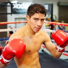 Jessie Vargas Boxing DVDs