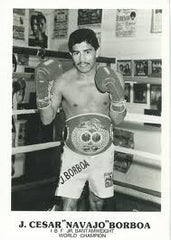 Julio Cesar Borboa Boxing Career DVDs