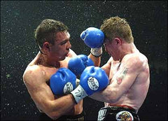 Kostya Tszyu Boxing Career DVD Set