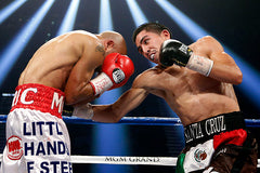 Leo Santa Cruz Boxing Career DVDs