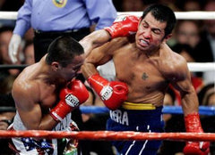 Marco Antonio Barrera Boxing Career on DVD