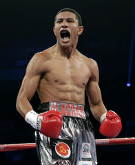 Miguel Berchelt Boxing Career DVDs