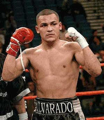 Mike Alvarado Boxing Career DVDs