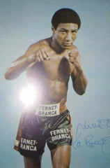 Nino Larocca Boxing Career DVDs