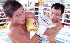 Pongsaklek Wonjongkam Boxing DVDs