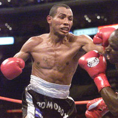 Ricardo Mayorga Boxing Career DVDs