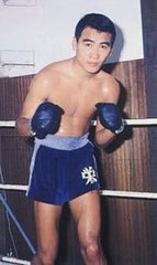 Shozo Saijo Boxing DVDs