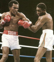 Sugar Ray Leonard Boxing Career DVD