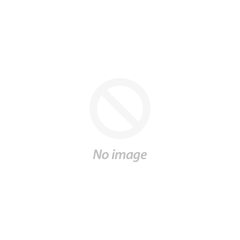 Steve Bosse MMA DVD Set